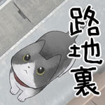 迷路猫咪的故事iOS版