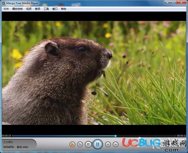 Macgo Free Media Player(视频播放器)