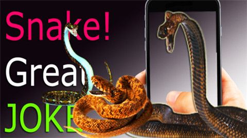 Snake in Hand内购解锁版