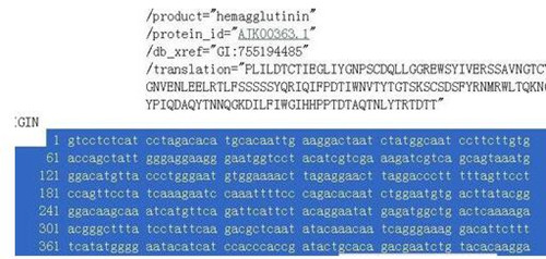 dnastar安装教程及功能特色