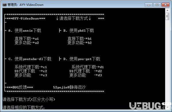 AYY-VideoDown(网络视频下载工具)
