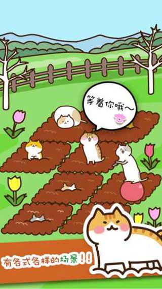 猫咪田园