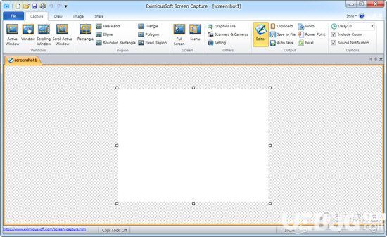 EximiousSoft Screen Capture