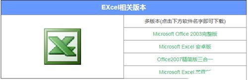 Microsoft Office Excel