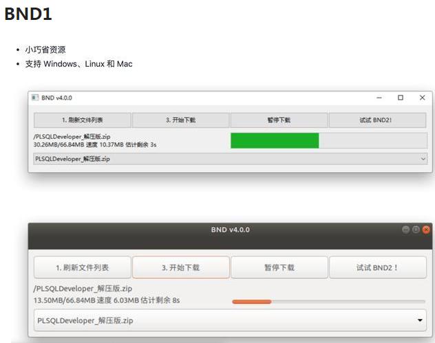 百度网盘不限速下载器--支持 Windows、Linux 和 Mac