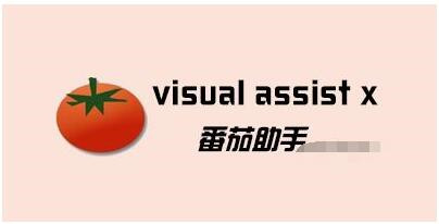 番茄助手vaassist常见用法