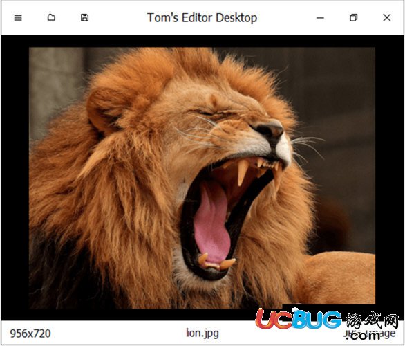 Toms Editor Desktop下载