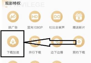 爱奇艺万能播放器限速怎么解决