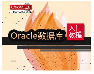 Oracle数据库入门教程 Oracle数据库菜鸟教程