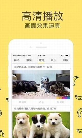 香蕉视下载app最新版