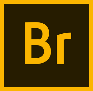 Adobe Bridge CC 2020 v10.0.2.131 x64 中文破解版