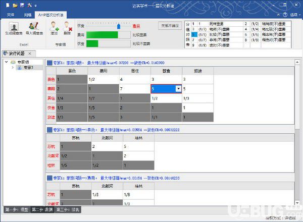 迈实ahp层次分析法软件