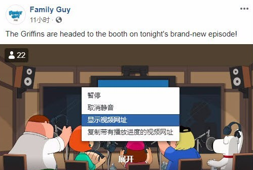 Facebook视频下载器