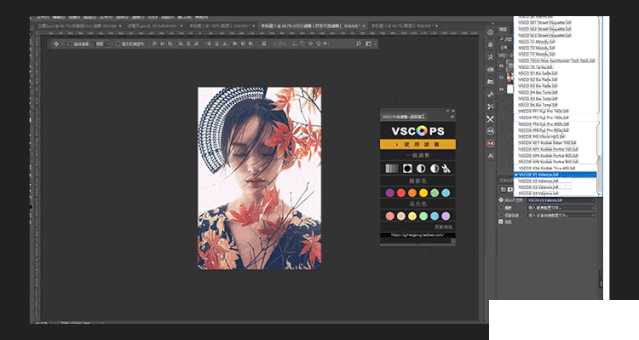 VSCO扩展面板PS插件v1.0免费版【2】