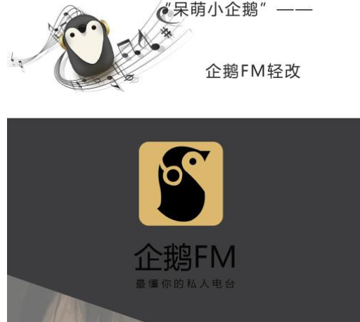 新手用户应该怎样使用企鹅FM