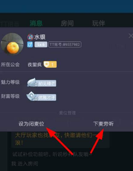 TT语音有哪些功能，可以进行哪些设置