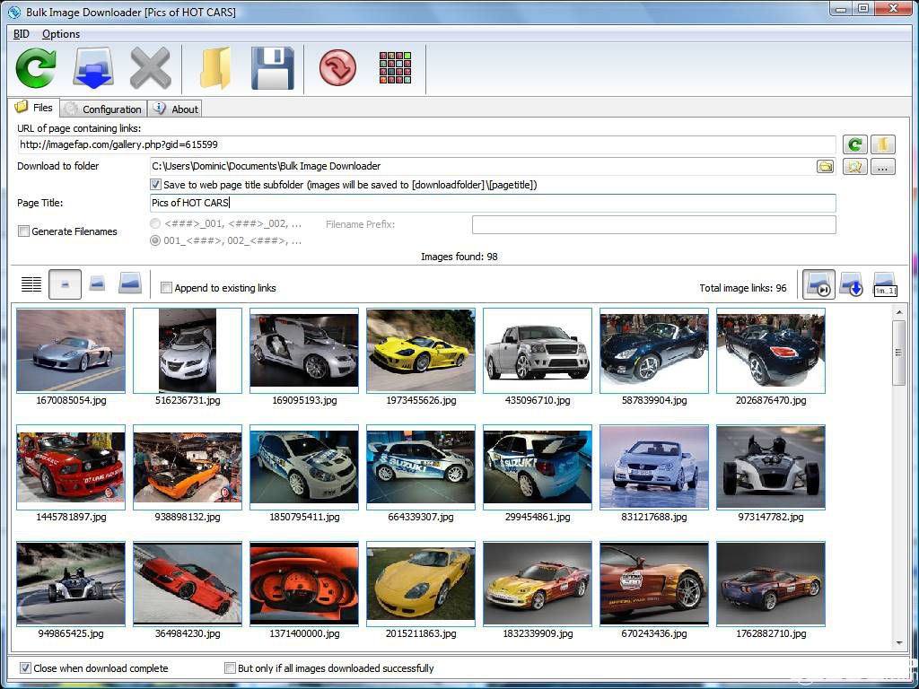 Bulk Image Downloader下载