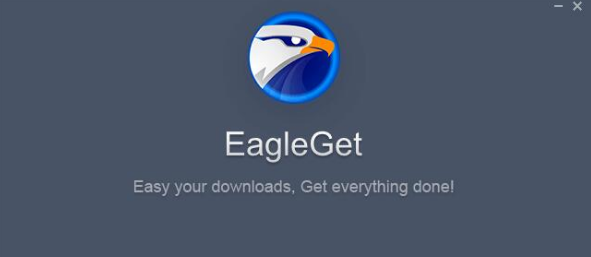 EagleGet怎么用