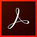 Adobe Acrobat Pro DC 2020.009.20065 中文破解版