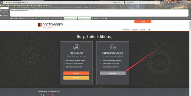 burpsuite