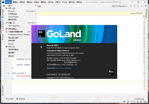 jetbrains goland 2020.1下载