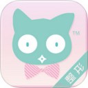 优雅猫