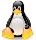 Linux Kernel v5.8.13 免费版