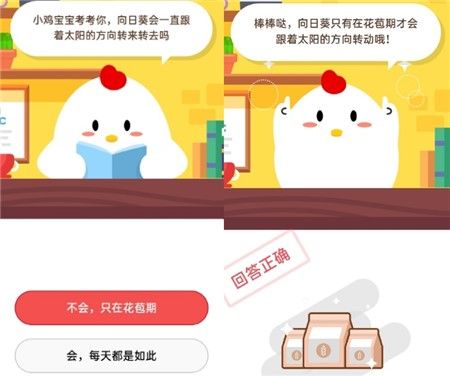 猫咪爱吃鱼，它们吃鱼时也可能被鱼刺卡到吗？蚂蚁庄园10月21日最新答案[多图]