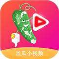 黄瓜视频丝瓜视频app