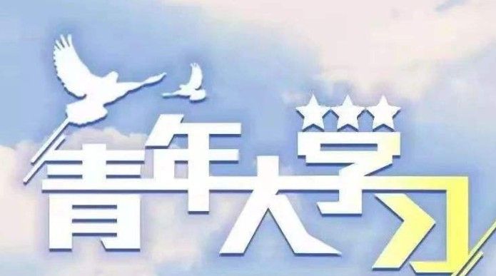 青年大学习第十季第五期课后习题答案大全：1-8题课后习题标准答案[多图]图片1