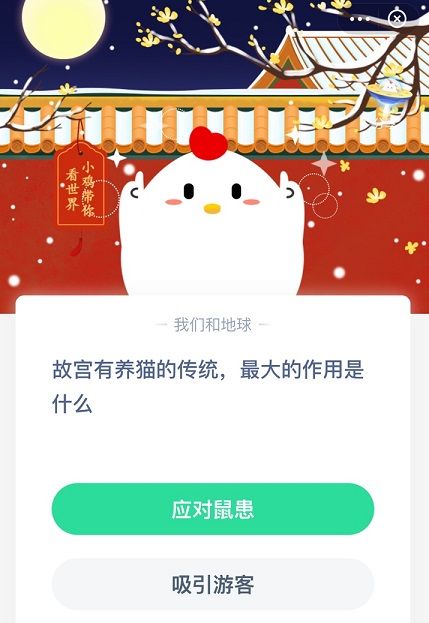 故宫养猫的原因 故宫养猫传统原因蚂蚁庄园[多图]图片1