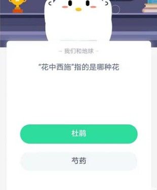 花中西施是哪种花 花中西施指的是什么花的别称蚂蚁庄园[多图]图片2