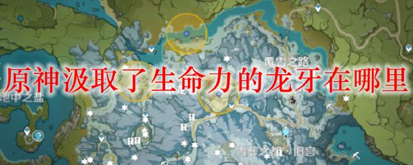 原神汲取了生命力的龙牙在哪？汲取了生命力的龙牙位置大全[多图]图片1