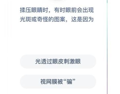 揉压眼睛时，有时眼前会出现光斑 揉压眼睛时会出现光斑是为什么蚂蚁庄园[多图]图片2