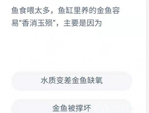 鱼食喂太多鱼缸里养的金鱼容易香消玉殒主要是因为 蚂蚁庄园1月18日今日答案[多图]图片2