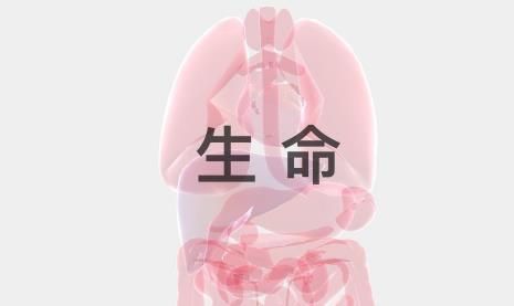 生命LIFE怎么怀孕？游戏怀孕操作教程[多图]