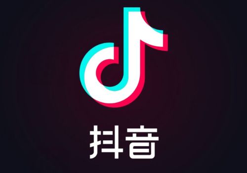 抖音个人档案怎么查？抖音个人档案查询方法[多图]图片1