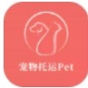 宠物托运pet