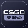 CSG0皮肤宝