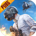 ikun直装v6pubg