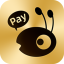 蚂蚁Pay